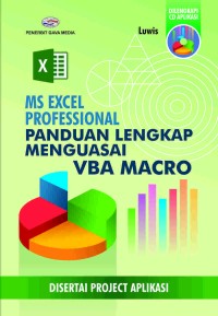 Image of Ms excel professional