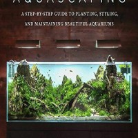 Image of Aquascaping