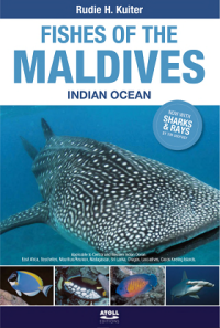 Image of Fishes of the Maldives: Indian Ocean